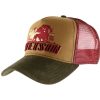 * | Stetson Trucker Cap Stronger Bison